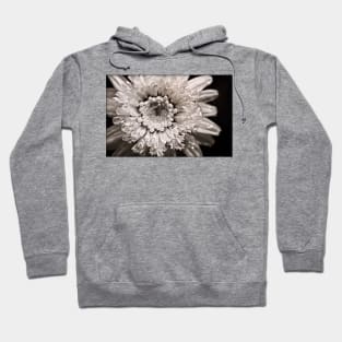 Cupping Crystals Hoodie